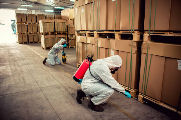 Best Best Pest Control Companies  in Hammond, WI