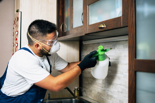 Best Best Pest Control Companies  in Hammond, WI