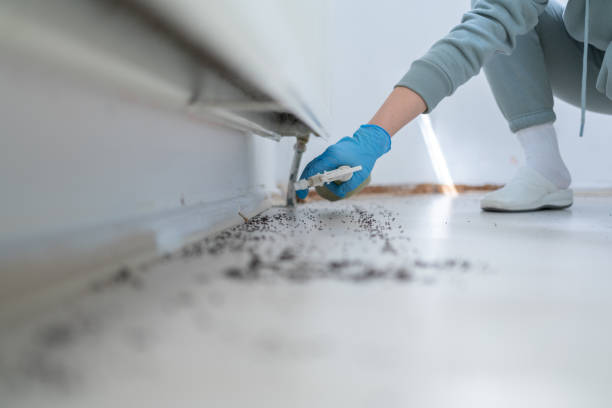 Professional Pest Control in Hammond, WI